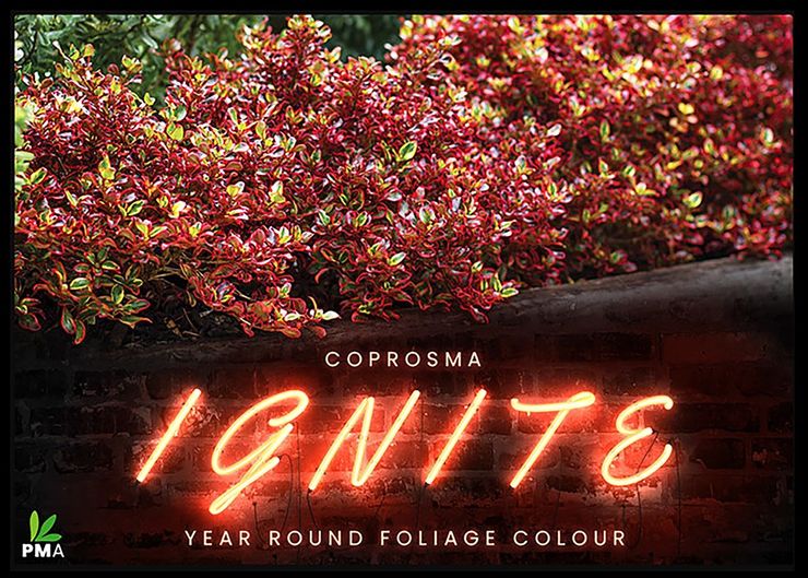 the plant broker