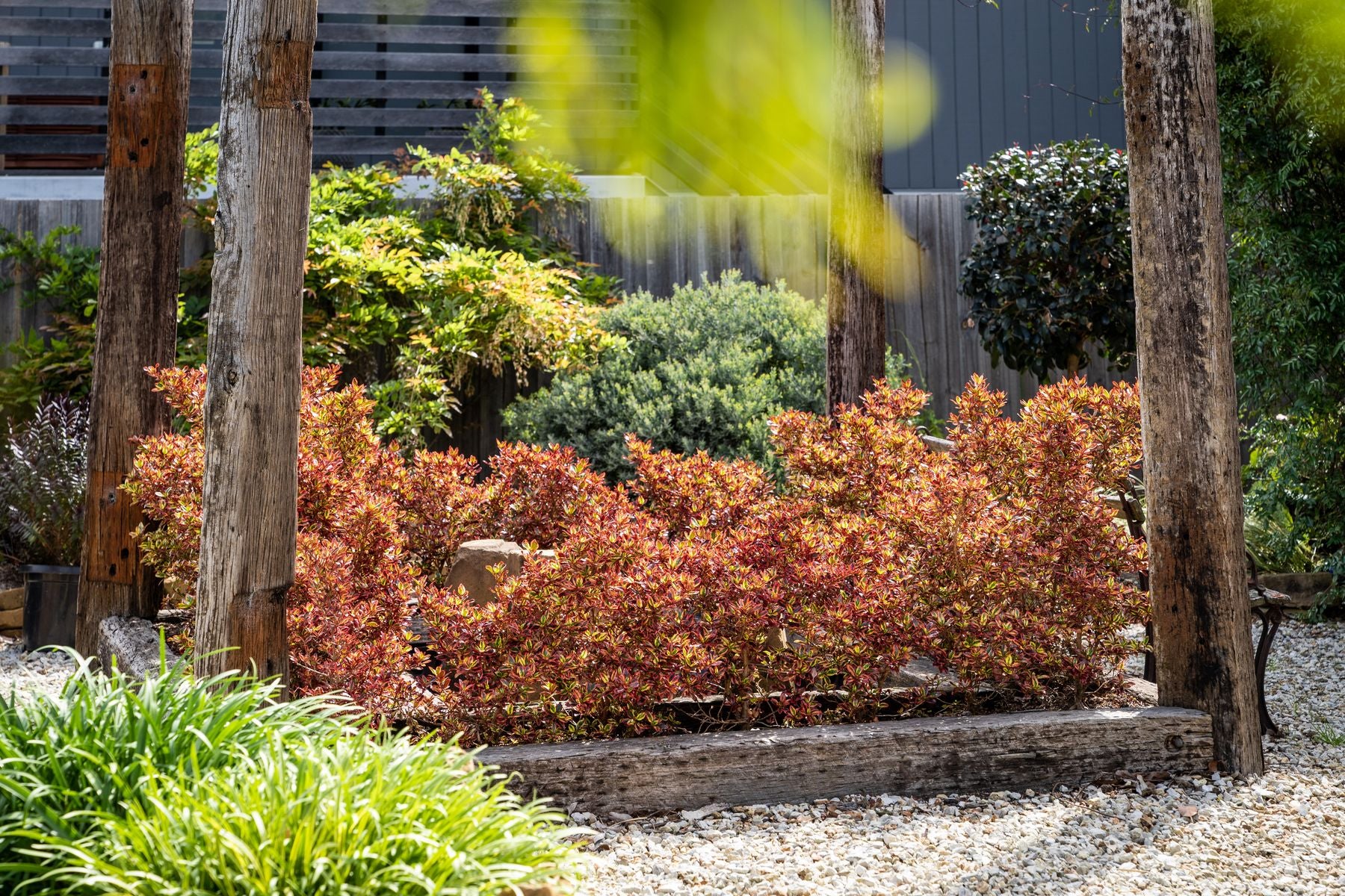 the plant broker