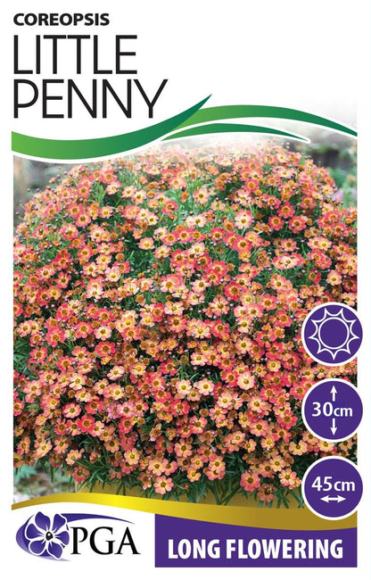 Coreopsis ‘Little Penny’