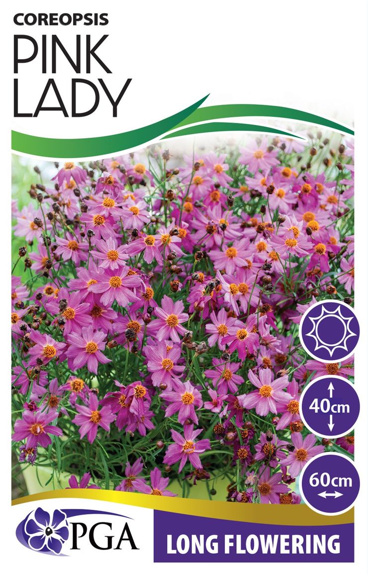 Coreopsis ‘Pink Lady’