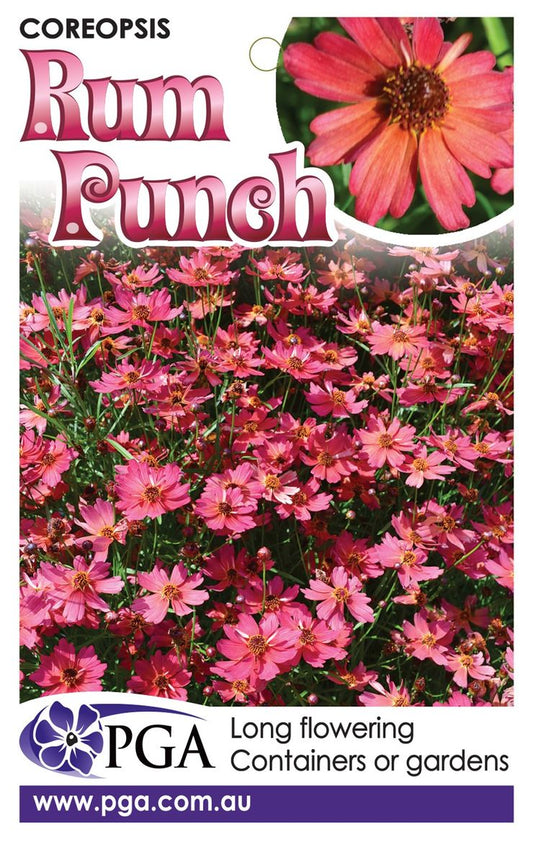 Coreopsis ‘Rum Punch’