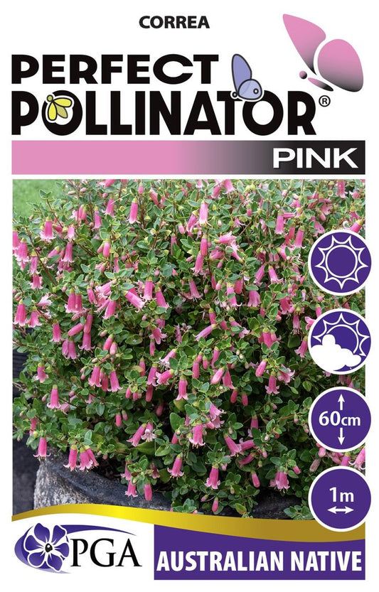 Correa ‘Pink PERFECT POLLINATOR®'