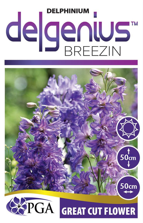 Delphinium DELGENIUS Breezin The Plant Broker delphinium-delgenius-breezin-the-plant-broker