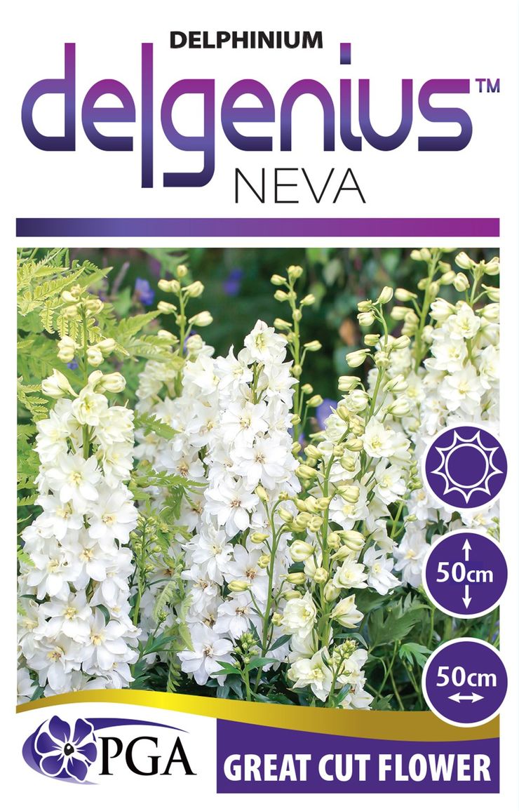 Delphinium DELGENIUS™ ‘Neva’