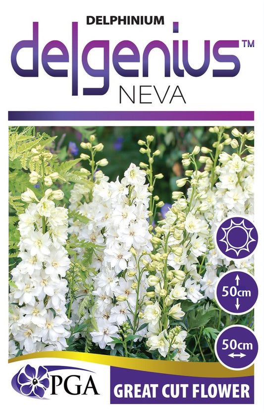 Delphinium DELGENIUS™ ‘Neva’