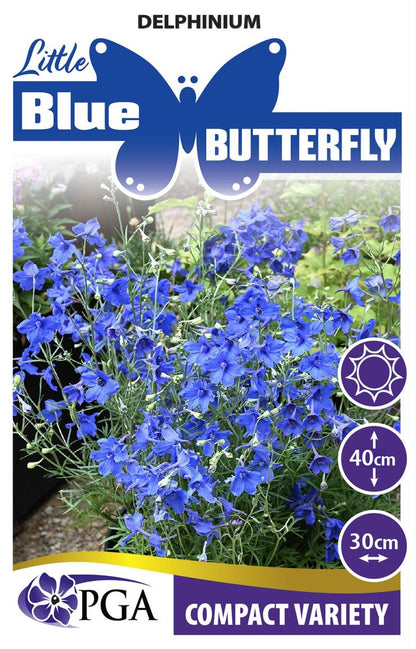 Delphinium ‘Little Blue Butterfly’