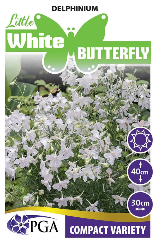 Delphinium ‘Little White Butterfly’