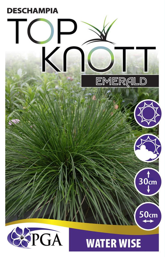 Deschampsia ‘Top Knot Emerald’