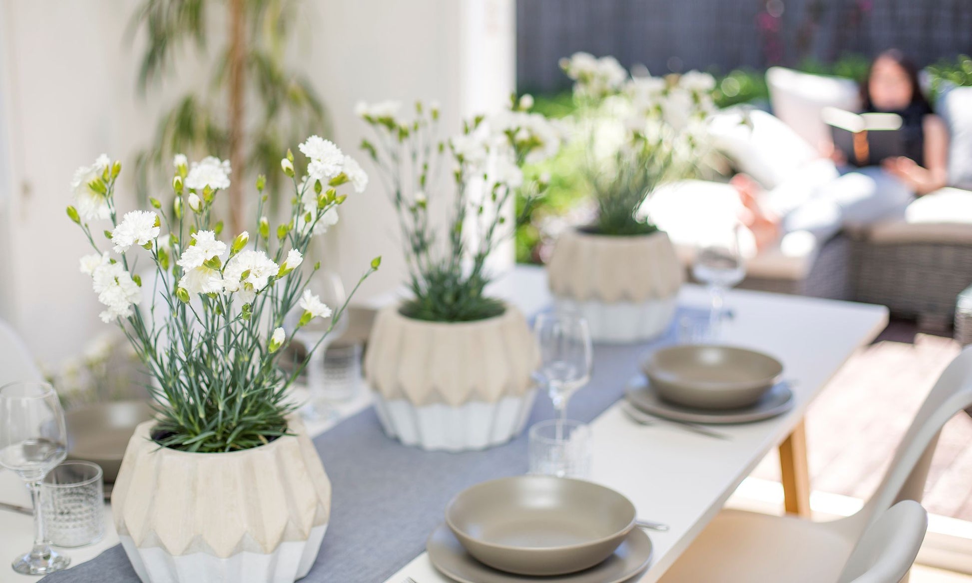 the plant broker