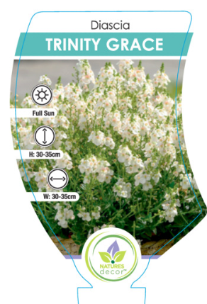 the plant broker