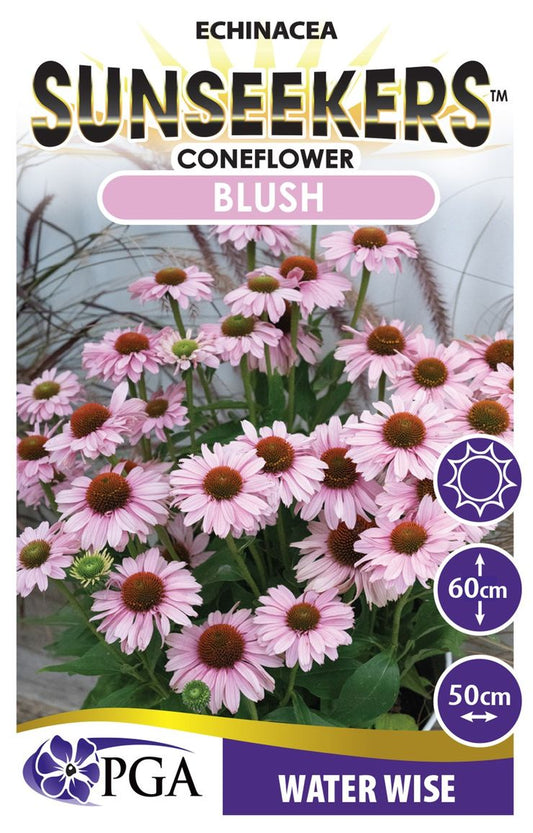 Echinacea SUNSEEKERS® Blush