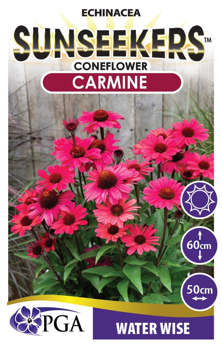Echinacea SUNSEEKERS® ‘Carmine’