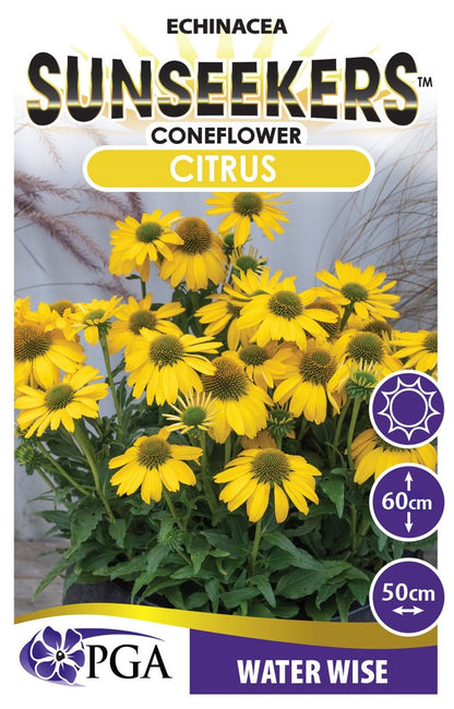 Echinacea SUNSEEKERS® Citrus