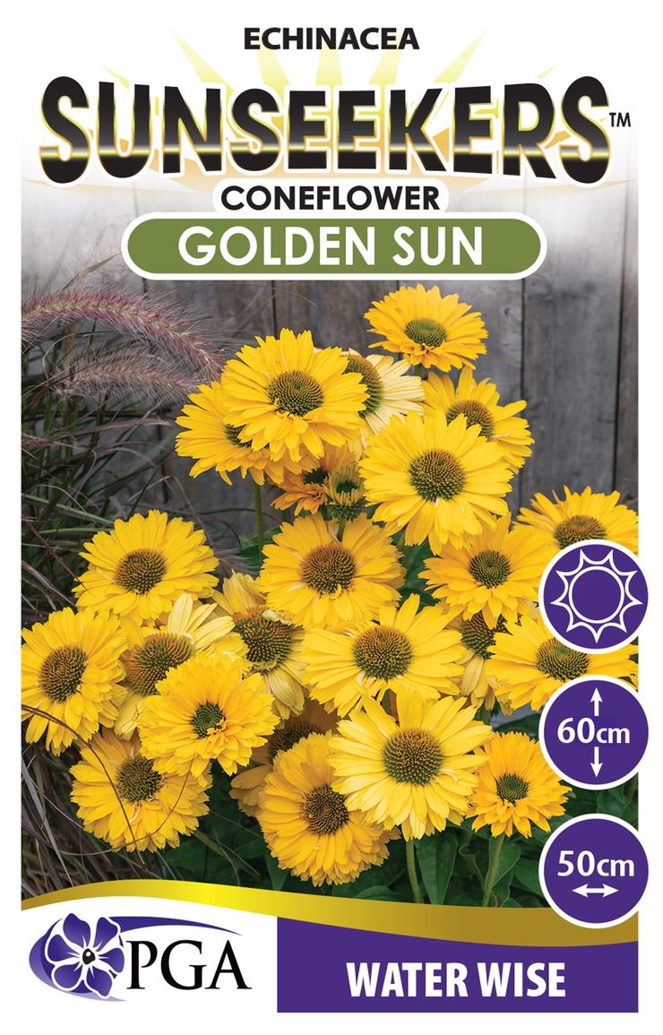 Echinacea SUNSEEKERS® ‘Golden Sun’