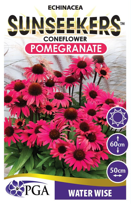 Echinacea SUNSEEKERS® ‘Pomegranate’