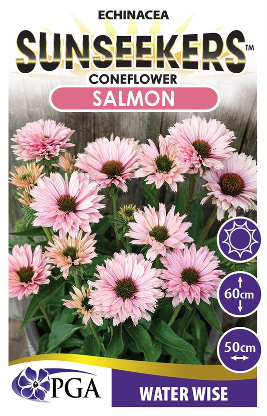 Echinacea  SUNSEEKERS® ‘Salmon’