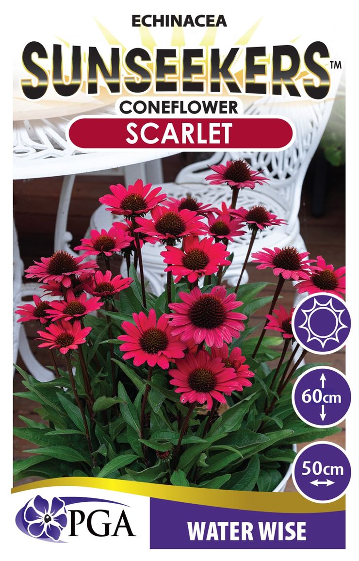 Echinacea SUNSEEKERS® ‘Scarlet’