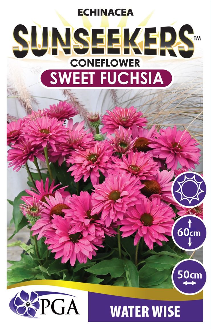 Echinacea SUNSEEKERS® ‘Sweet Fuchsia’
