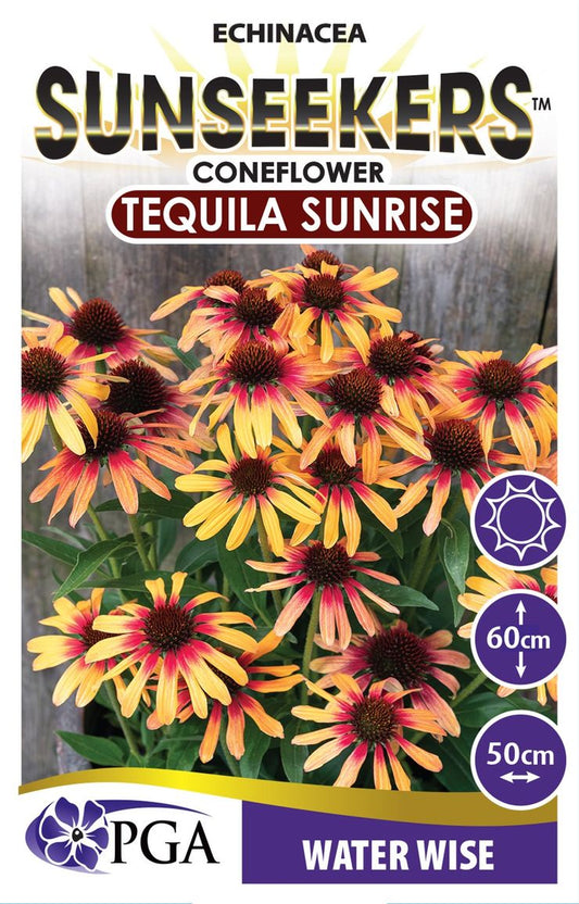 Echinacea SUNSEEKERS® Tequila Sunrise