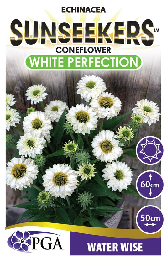 Echinacea SUNSEEKERS® ‘White Perfection’