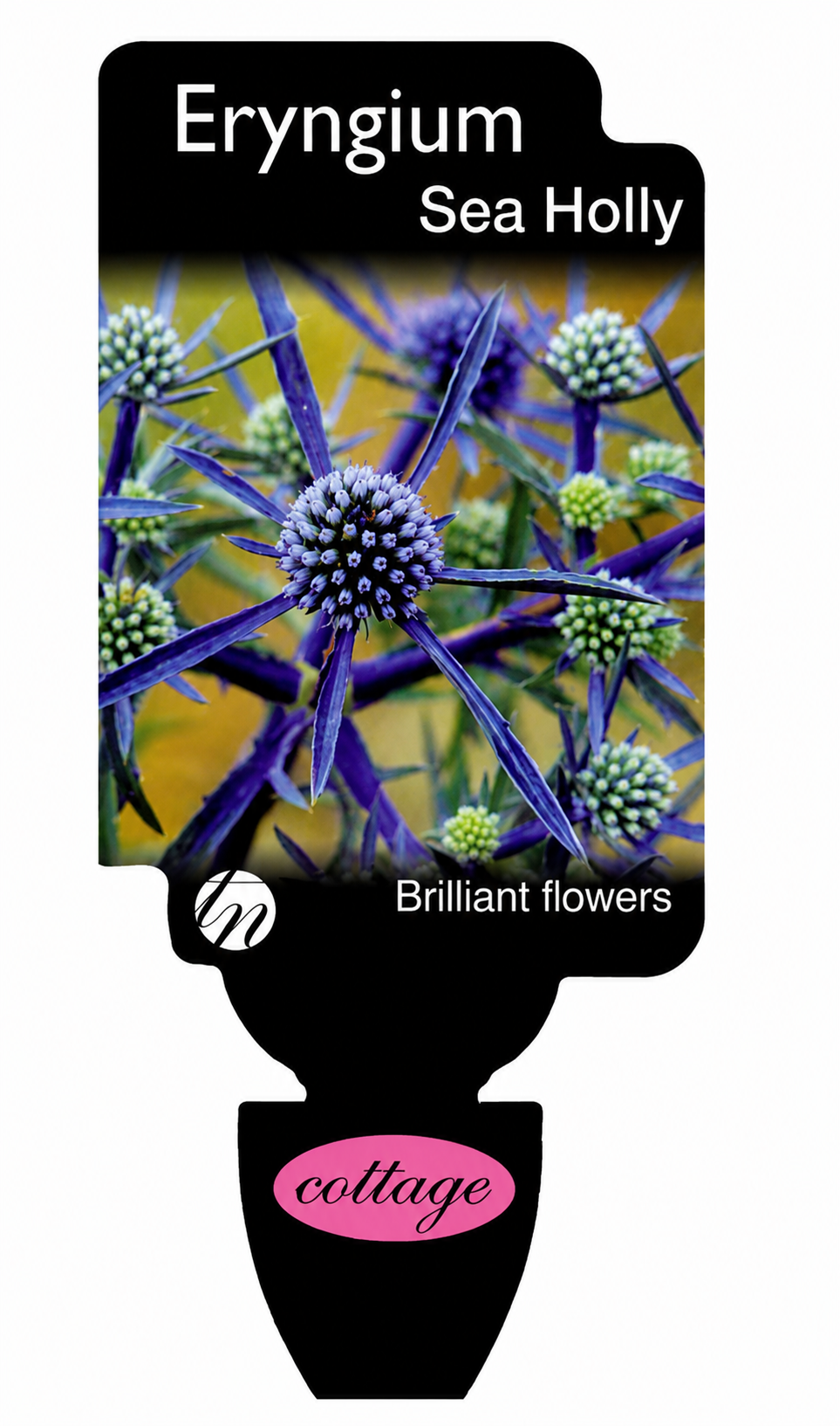 the plant broker