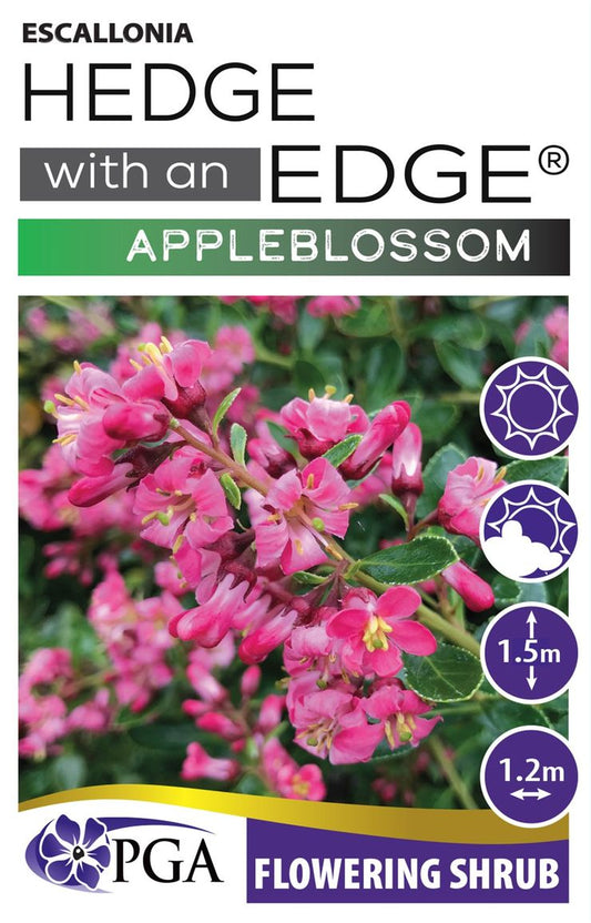 Escallonia ‘Appleblossom HEDGE WITH AN EDGE®’
