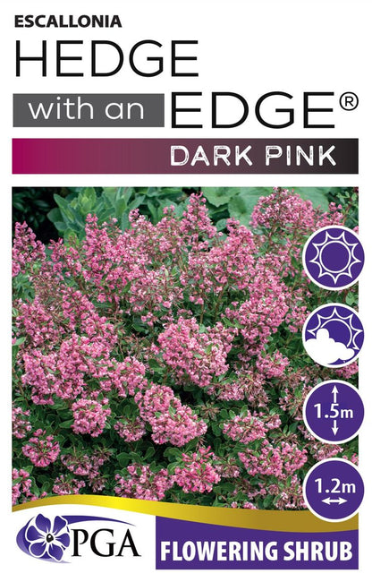 Escallonia ‘HEDGE WITH AN EDGE®’ Dark Pink