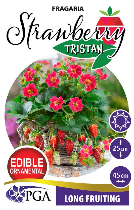 Fragaria ‘Strawberry Tristan’