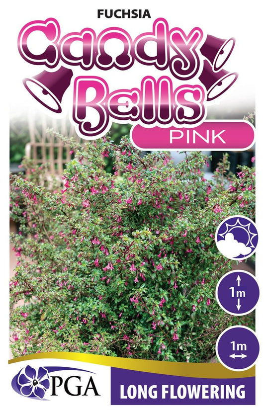 Fuchsia ‘Candy Bells Pink’