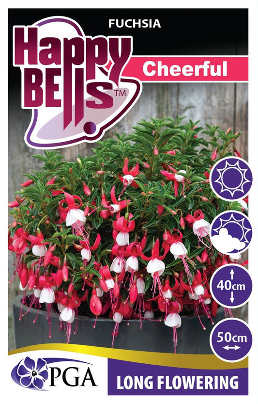 Fuchsia ‘HAPPY BELLS™ Cheerful’