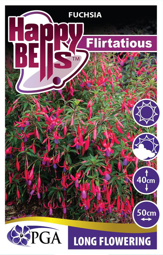 Fuchsia ‘HAPPY BELLS™ Flirtatious’