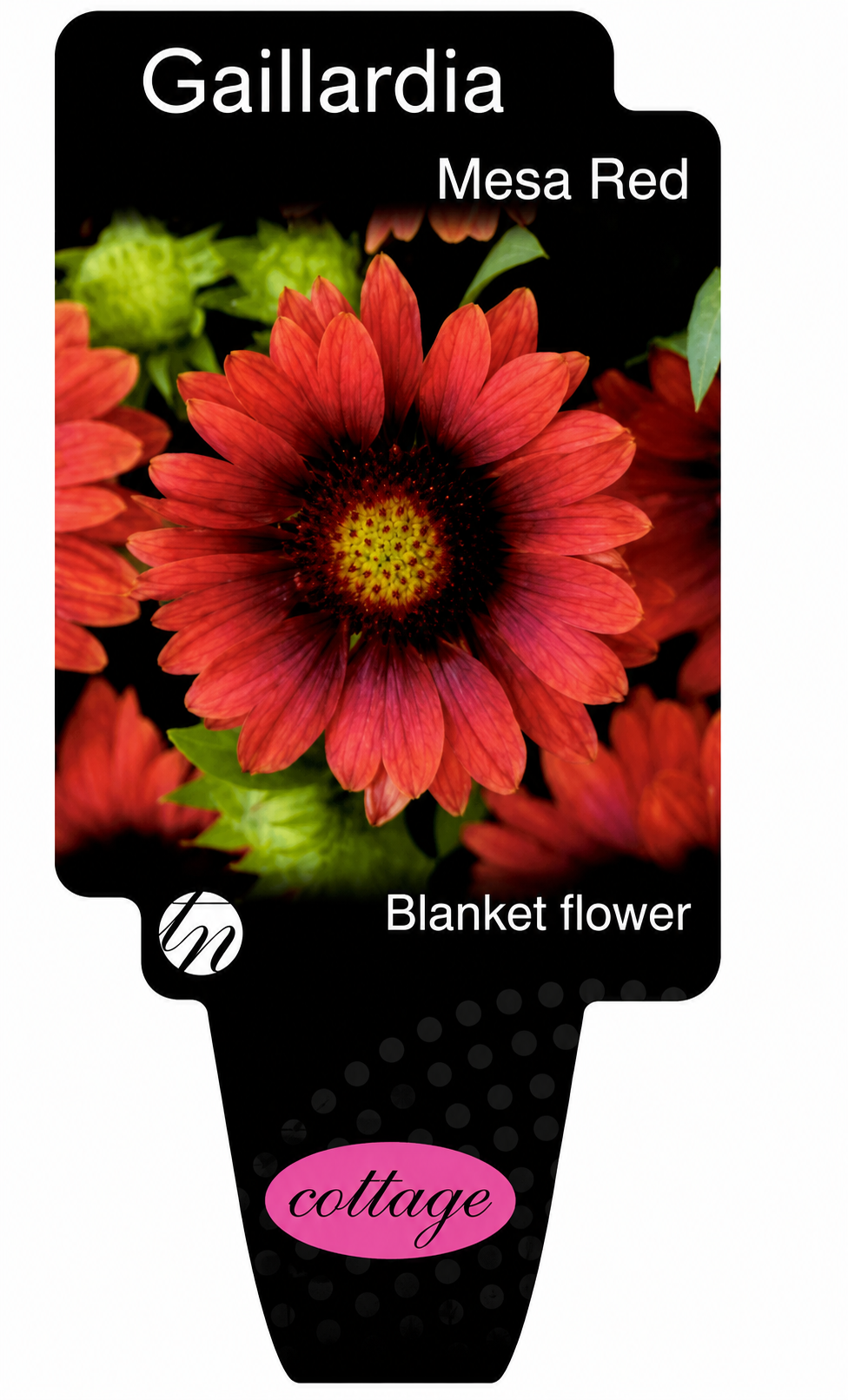 the plant broker