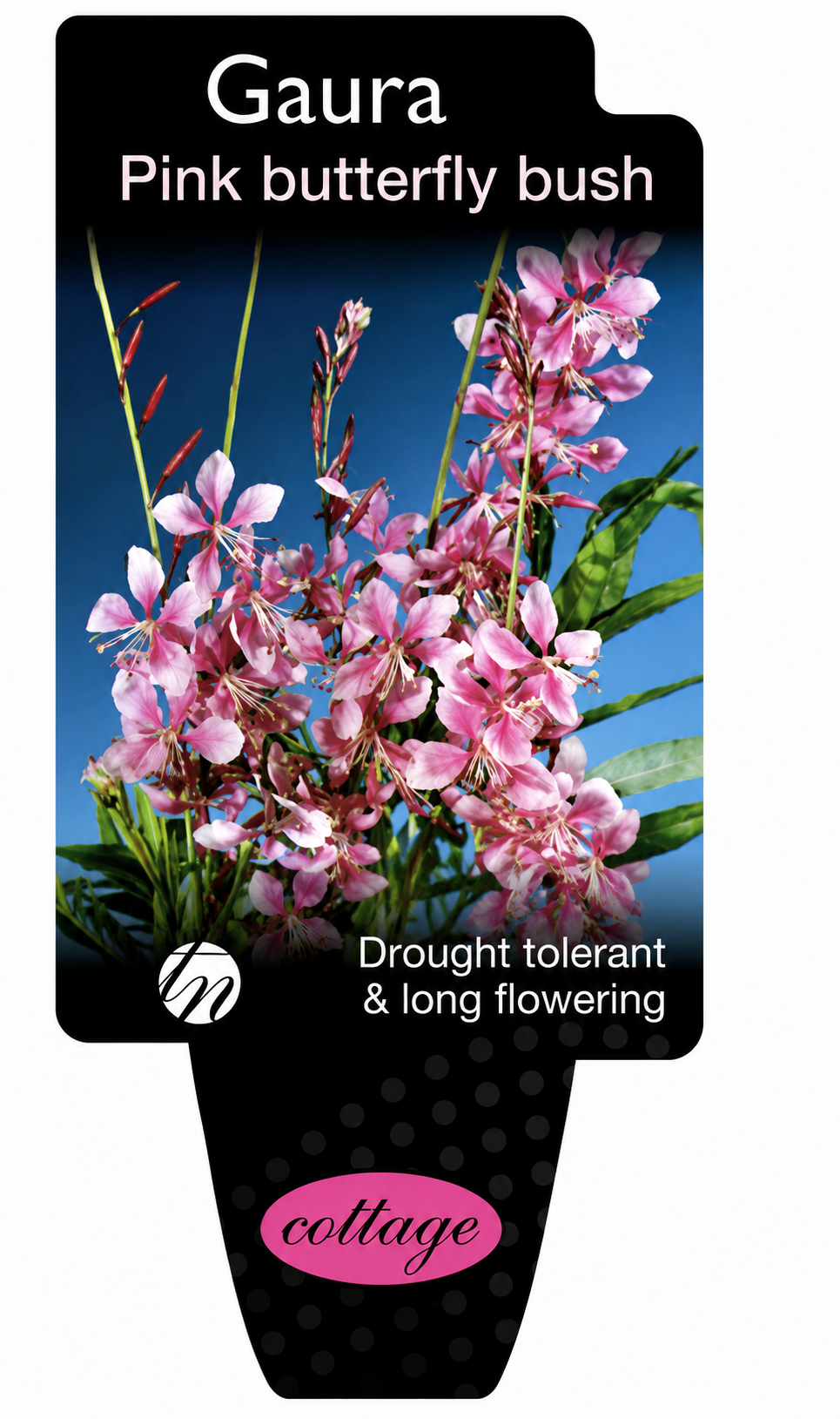 the plant broker
