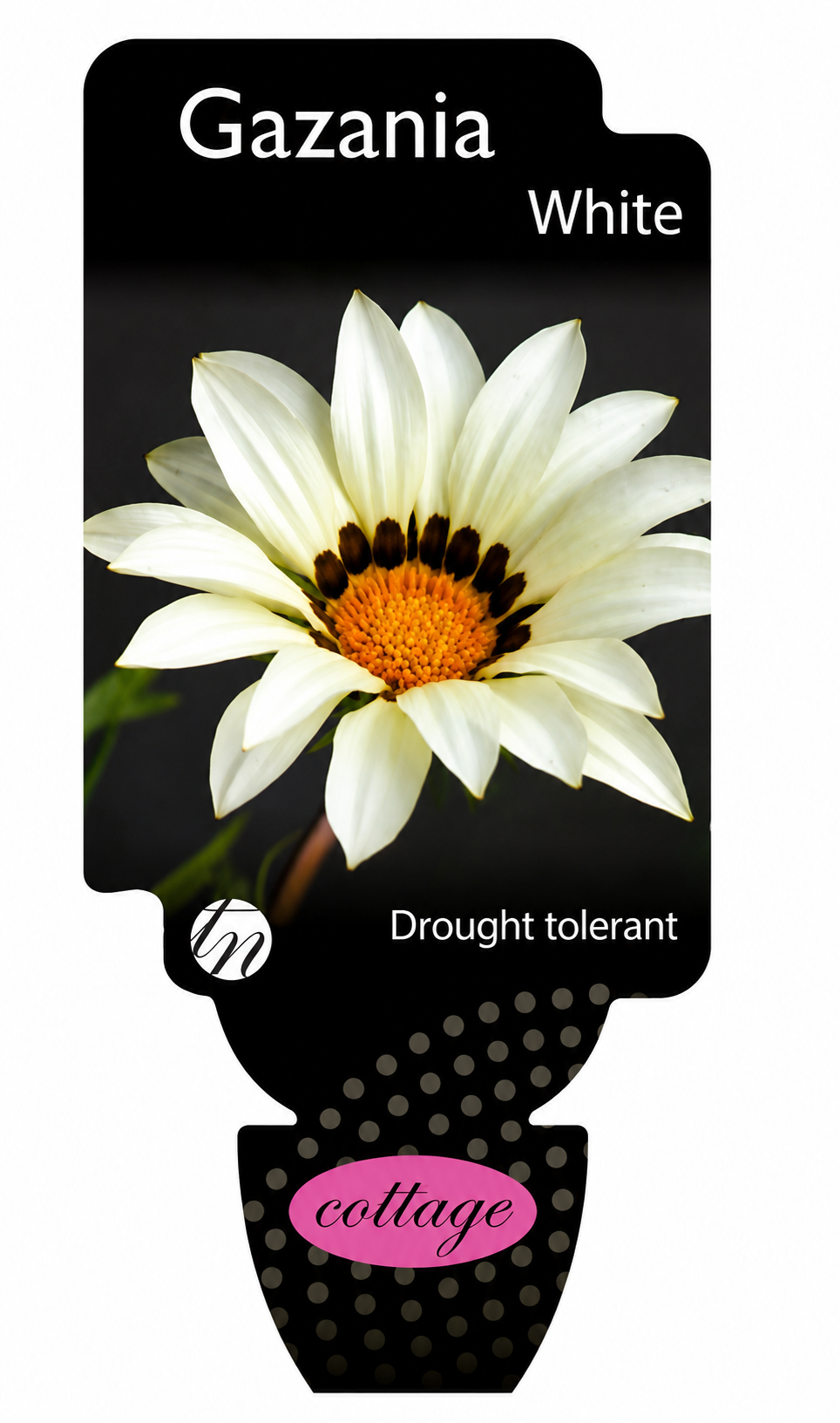 the plant broker