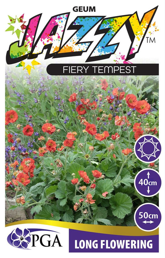 Geum JAZZY™ ‘Fiery Tempest’