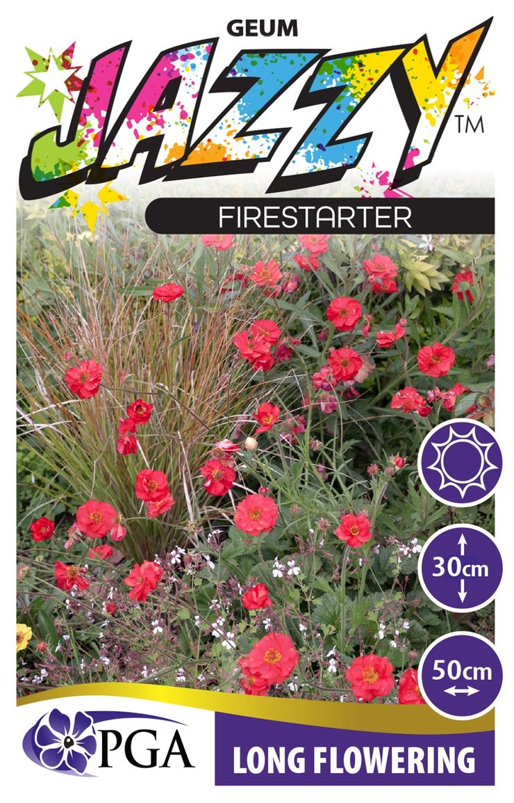 Geum JAZZY™ ‘Firestarter’