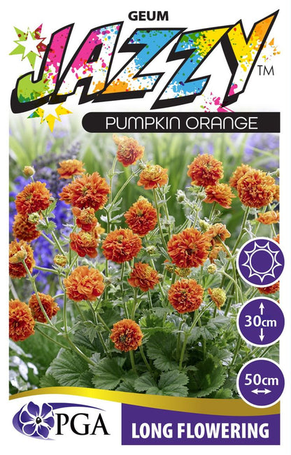Geum JAZZY™ ‘Orange Pumpkin’