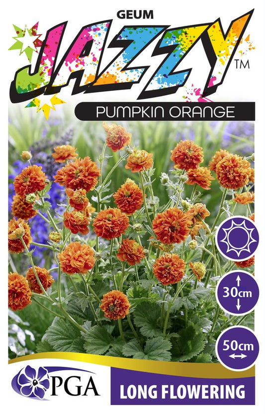 Geum JAZZY™ ‘Orange Pumpkin’