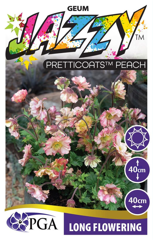 Geum  JAZZY™ ‘Pretticoats Peach’