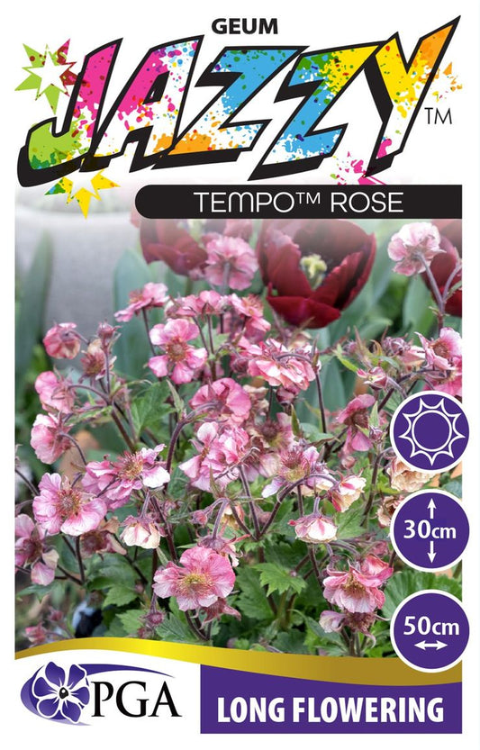 Geum JAZZY™ ‘Tempo Rose’