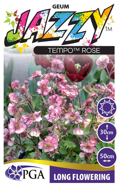 Geum JAZZY™ ‘Tempo Rose’