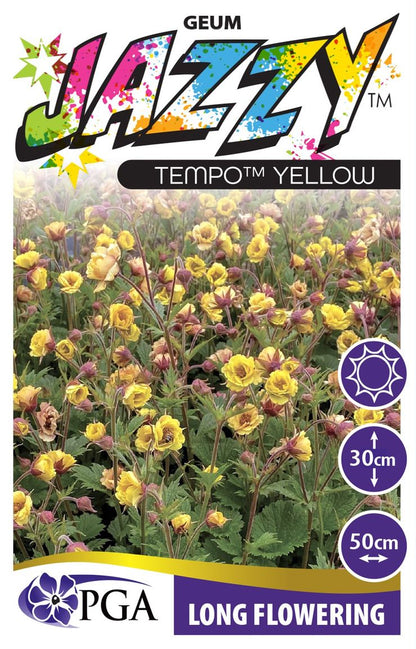 Geum JAZZY™ Tempo Yellow