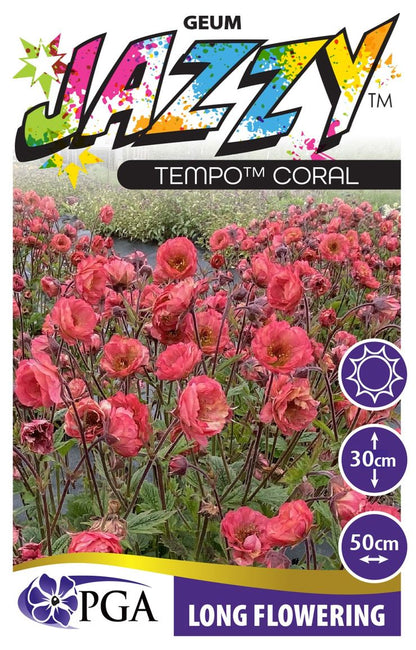 Geum JAZZY™ ‘Tempo™ Coral’