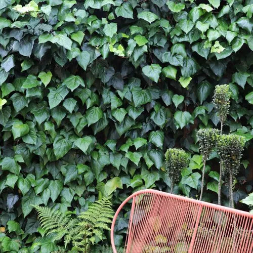 the plant broker