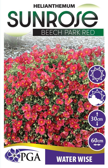 Helianthemum ‘Beech Park Red’