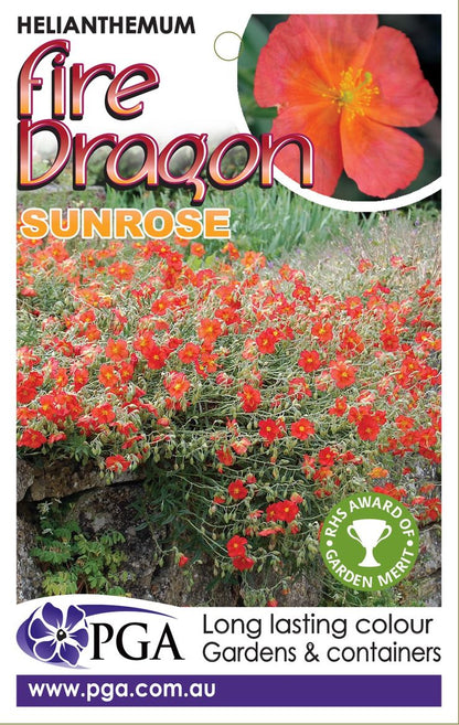 Helianthemum ‘Fire Dragon Sunrose’