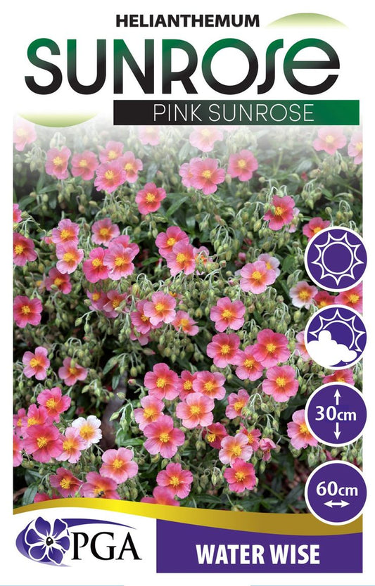 Helianthemum ‘Pink Sunrose’