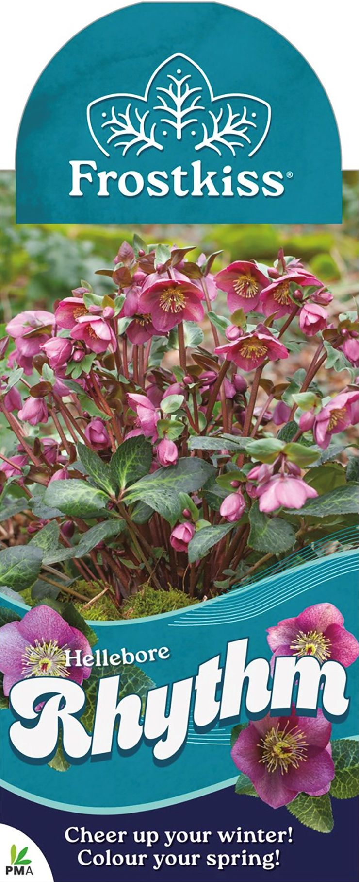 the plant broker