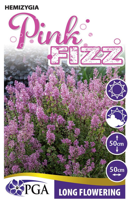 Hemizygia ‘Pink Fizz’