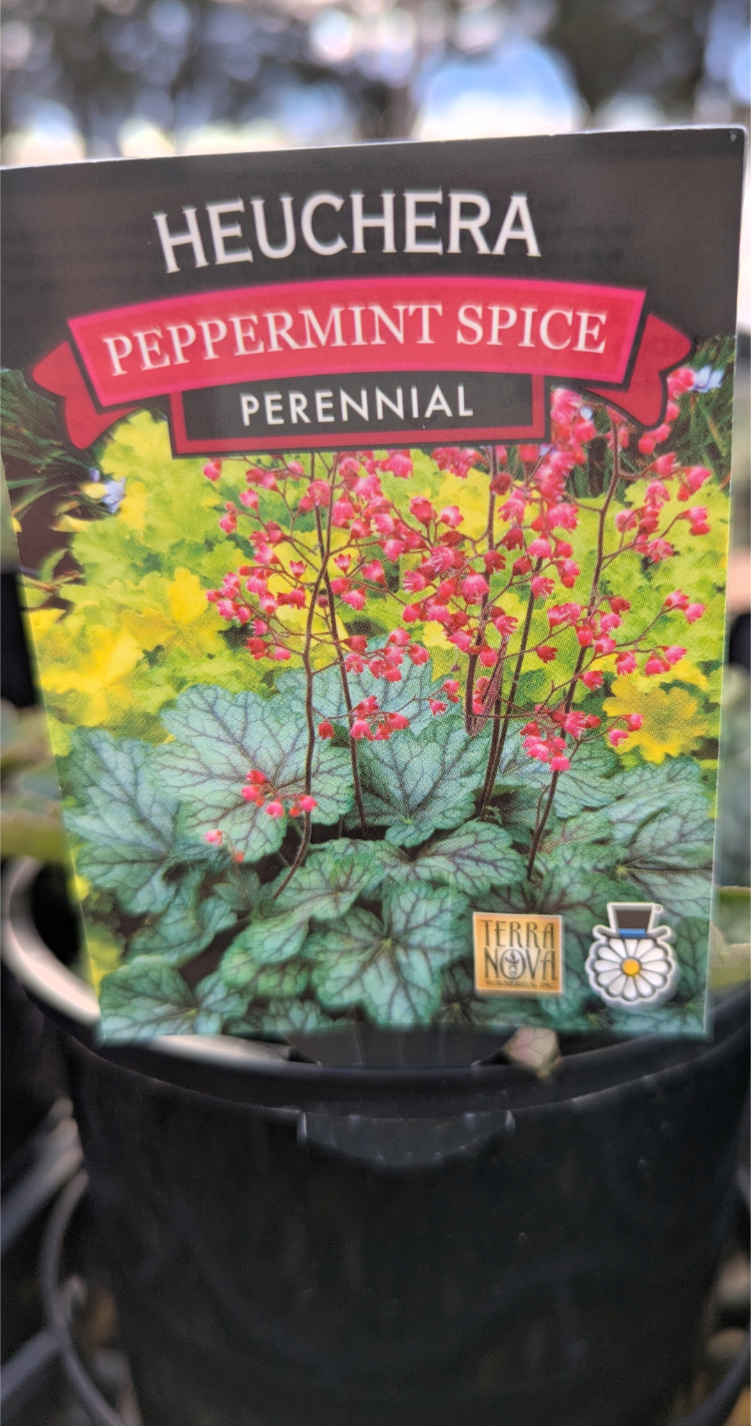 the plant broker